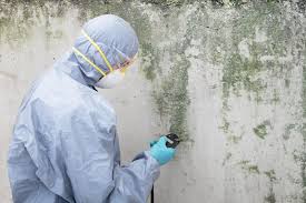  Grenelefe, FL Mold Prevention & Removal Pros